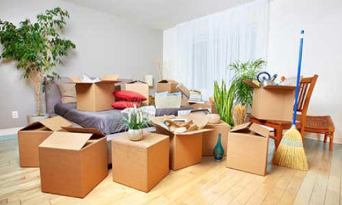  Packers Movers